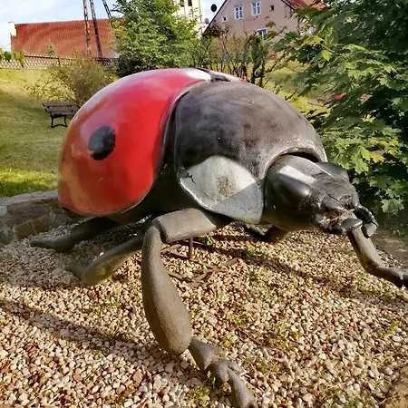 Wypoczynek Mazurska Gorka Casa vacanze Stare Juchy